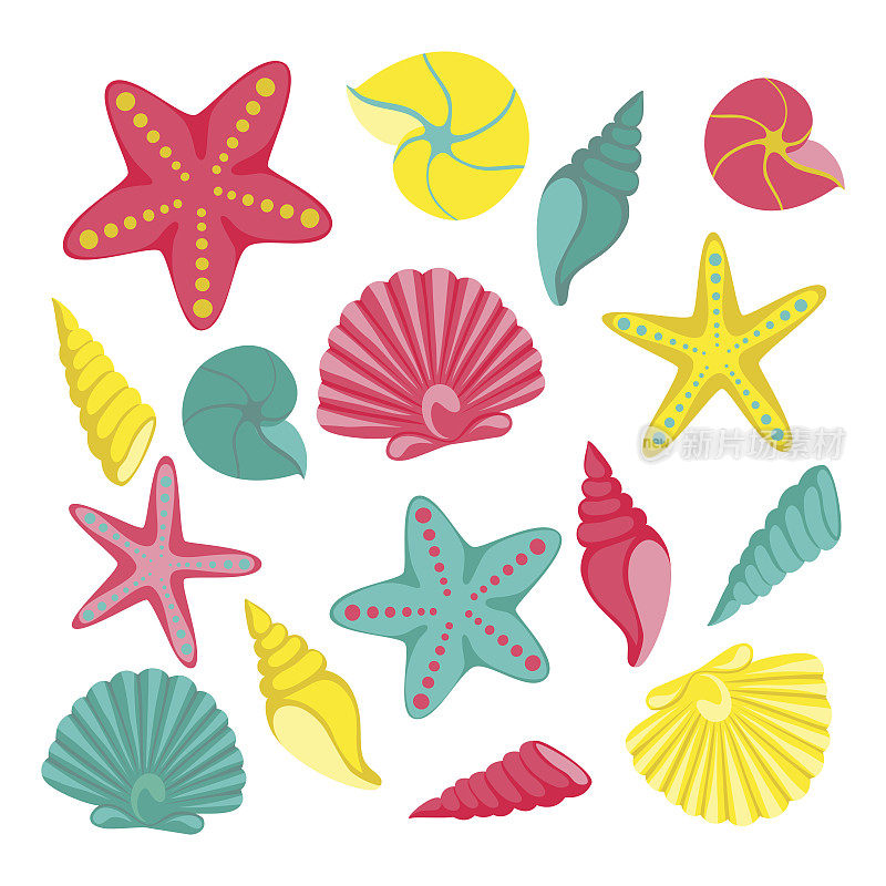 Seashells set. design for holiday greeting card and invitation of seasonal summer holidays, summer beach parties, tourism and travel